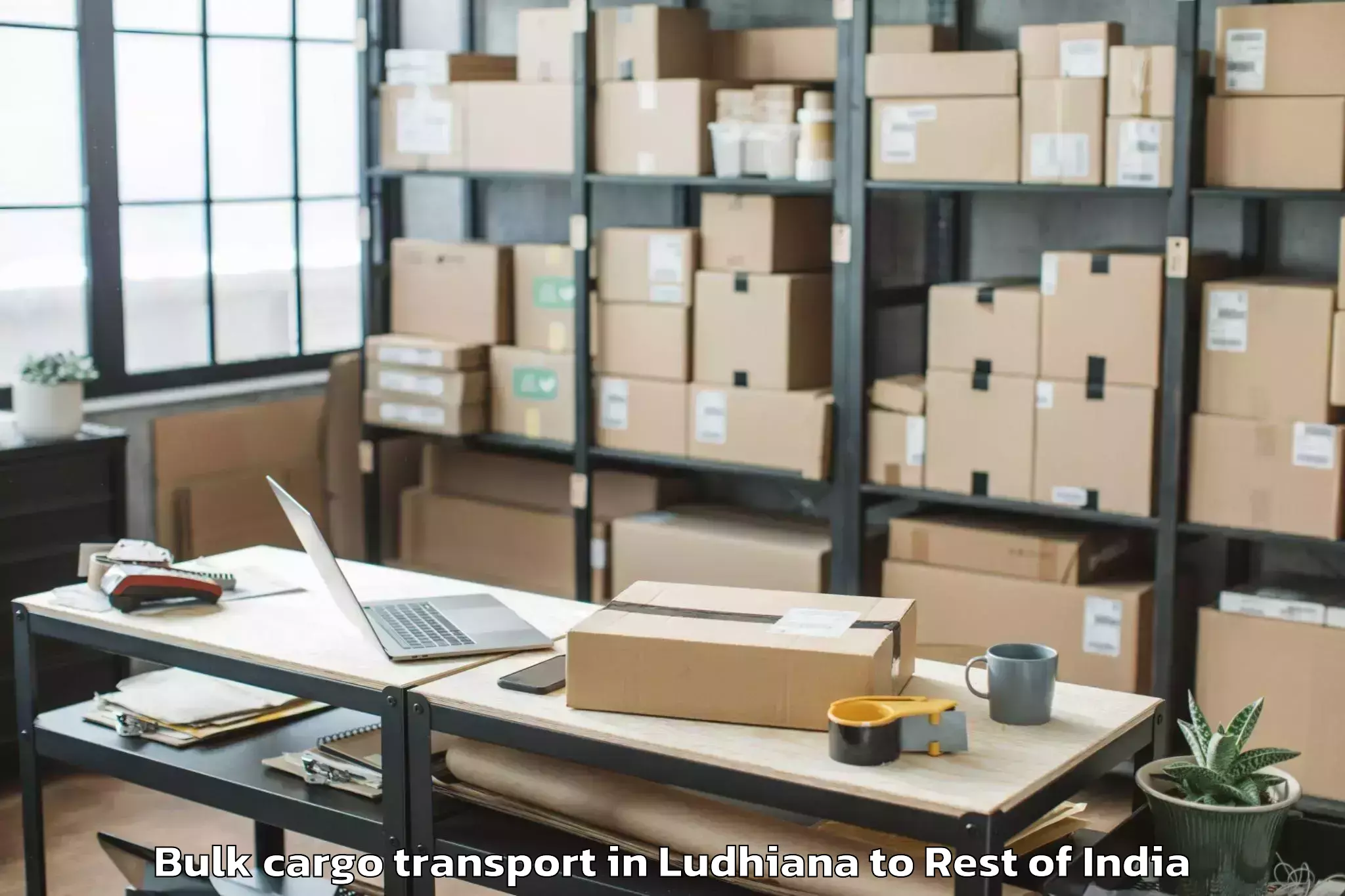 Trusted Ludhiana to Pulwama Bulk Cargo Transport